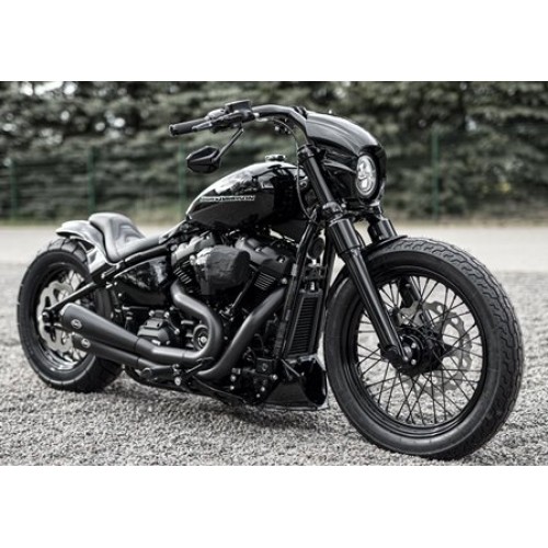 M8 "Street Bob" & "Standard" Fork Tubes Set